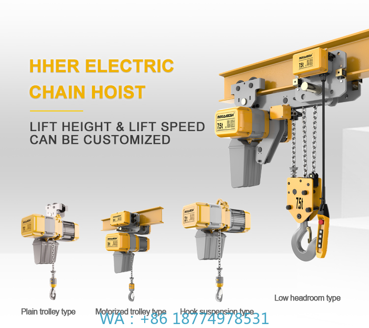 Palan électrique pour salle de - Electric Chain Hoist avis et prix