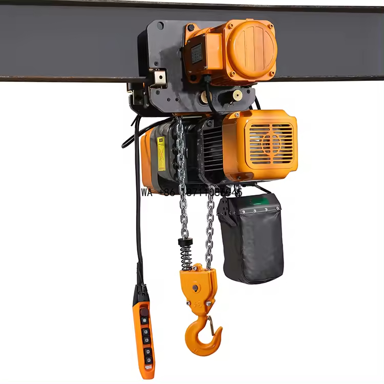 Mini-grue électrique à câble d - Electric Chain Hoist avis et prix